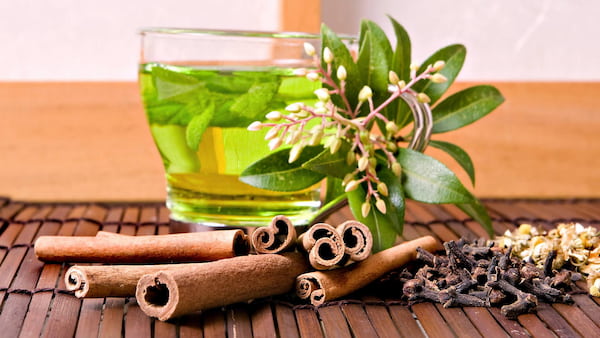 خرید و فروش معجون چای سبز و دارچین با شرایط فوق العاده
